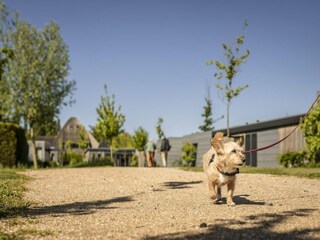 Vakantiepark Hem  41