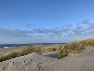 Vakantiepark Ouddorp Omgeving 17