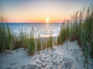 Vakantiepark Ouddorp Omgeving 32