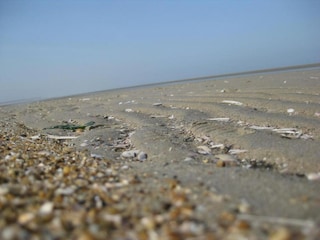 Ferienpark Ouddorp Umgebung 32