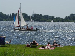 Parc de vacances Wissenkerke Environnement 29