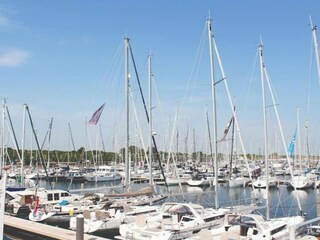 Ferienpark Wissenkerke Umgebung 26