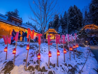 Chalet Neukirchen am Großvenediger Entorno 22