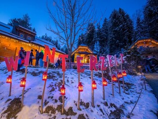 Chalet Neukirchen am Großvenediger Environnement 23