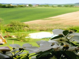 Vakantiepark Marotta-Mondolfo Buitenaudio-opname 3