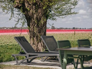 Vakantiepark Hem Omgeving 15
