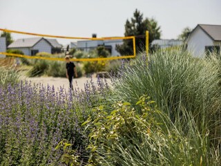 Parc de vacances Ouddorp Enregistrement extérieur 6