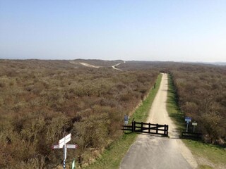 Vakantiepark Ouddorp Omgeving 19