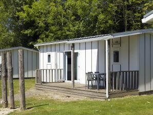 Vakantiepark Fijn chalet met afwasmachine strand op loopafstand - kennis kerke - image1