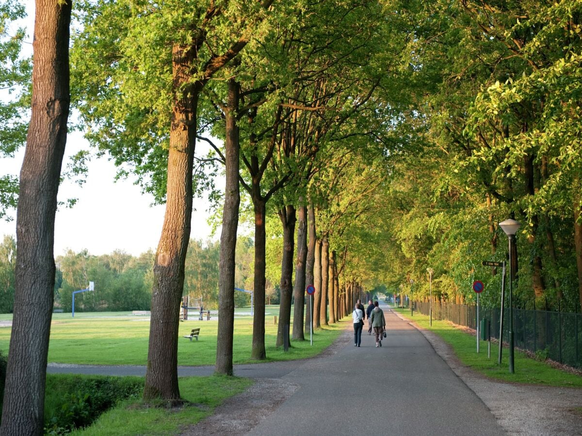 Ferienpark Arcen Umgebung 13