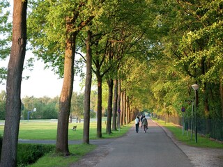 Parc de vacances Arcen Environnement 15