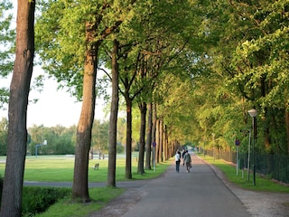 Vakantiepark Arcen Omgeving 15