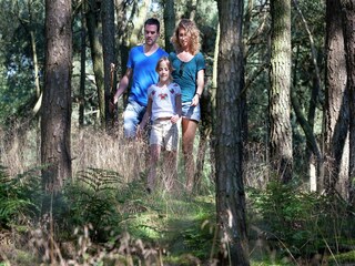 Vakantiepark Arcen  39