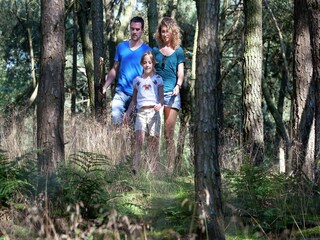 Vakantiepark Arcen  38