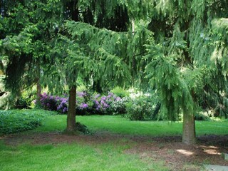 Parco vacanze Arcen Ambiente 11