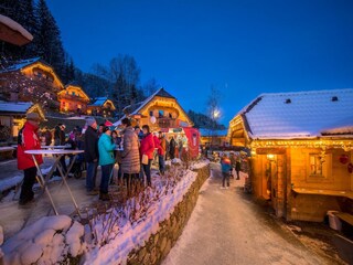 Chalet Neukirchen am Großvenediger  26