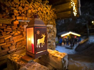 Chalet Neukirchen am Großvenediger  27