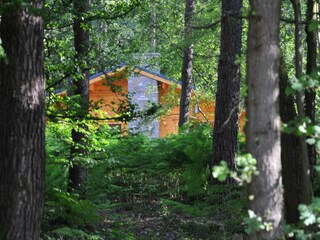 Vakantiepark Viroinval Buitenaudio-opname 3