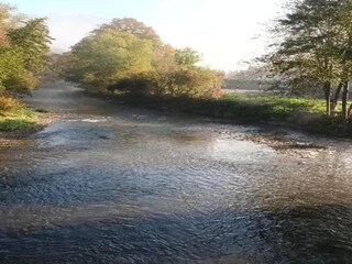 Holiday park Viroinval Environment 34