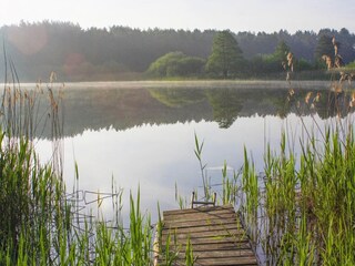 Casa de vacaciones Lohmen in Mecklenburg Entorno 11