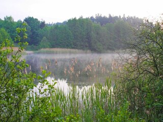 Casa per le vacanze Lohmen in Mecklenburg Ambiente 29