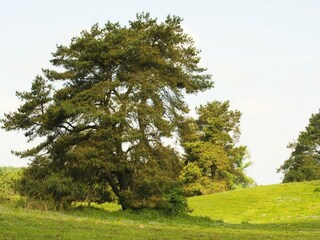 Vakantiehuis Lohmen in Mecklenburg Omgeving 23