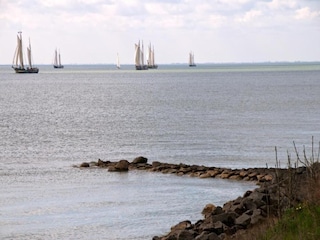Ferienpark Schellinkhout Umgebung 20