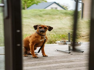 Ferienpark Ouddorp Umgebung 12