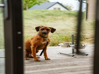 Parco vacanze Ouddorp Ambiente 13