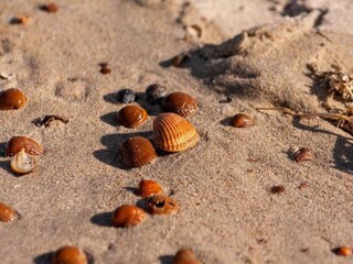 Vakantiepark Wissenkerke Omgeving 23