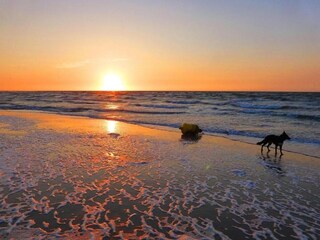 Vakantiepark Wissenkerke Omgeving 18