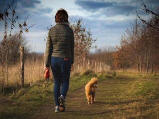 Vakantiepark Wissenkerke Omgeving 22