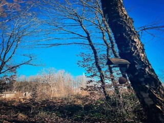 Parc de vacances Viroinval Environnement 16