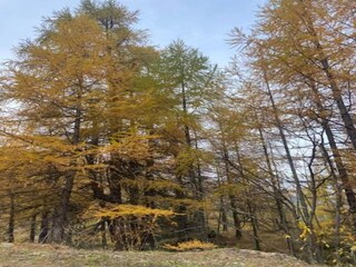 Parc de vacances Viroinval Environnement 17