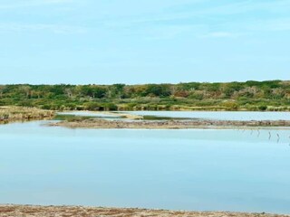 Parc de vacances Viroinval Environnement 37