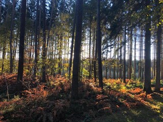Parc de vacances Viroinval Environnement 21