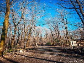 Parc de vacances Viroinval Environnement 25