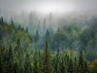 Parc de vacances Viroinval Environnement 26