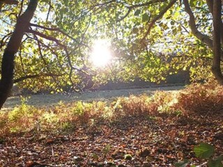 Parc de vacances Viroinval Environnement 27