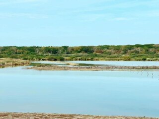 Vakantiepark Viroinval Omgeving 32
