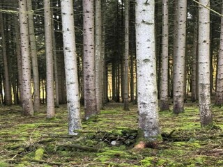 Ferienpark Viroinval Umgebung 35