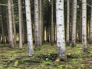 Ferienpark Viroinval Umgebung 38