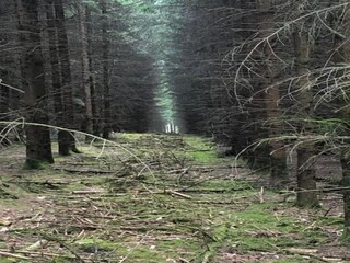 Parc de vacances Viroinval Environnement 25