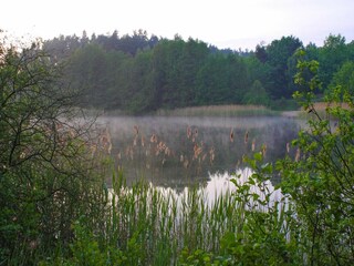 Casa de vacaciones Lohmen in Mecklenburg Entorno 31