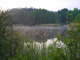 Ferienhaus Lohmen in Mecklenburg Umgebung 32