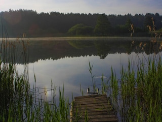 Ferienhaus Lohmen in Mecklenburg Umgebung 27