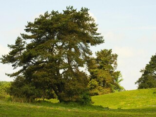 Casa per le vacanze Lohmen in Mecklenburg Ambiente 31