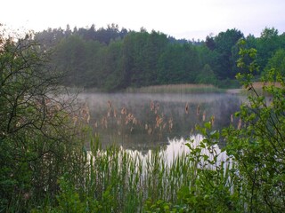 Holiday house Lohmen in Mecklenburg Environment 25