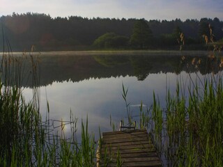 Holiday house Lohmen in Mecklenburg Environment 32