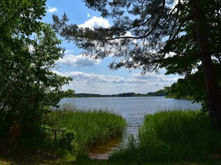 Casa per le vacanze Lohmen in Mecklenburg Ambiente 27